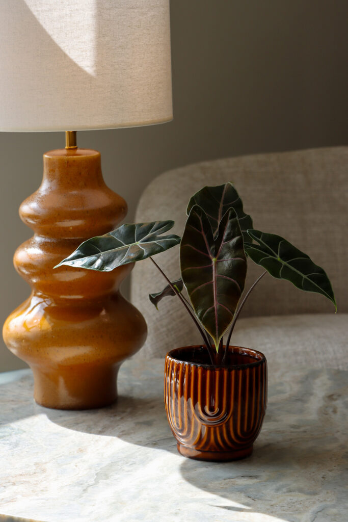Lundager home styling picture, japandi and osaka collection