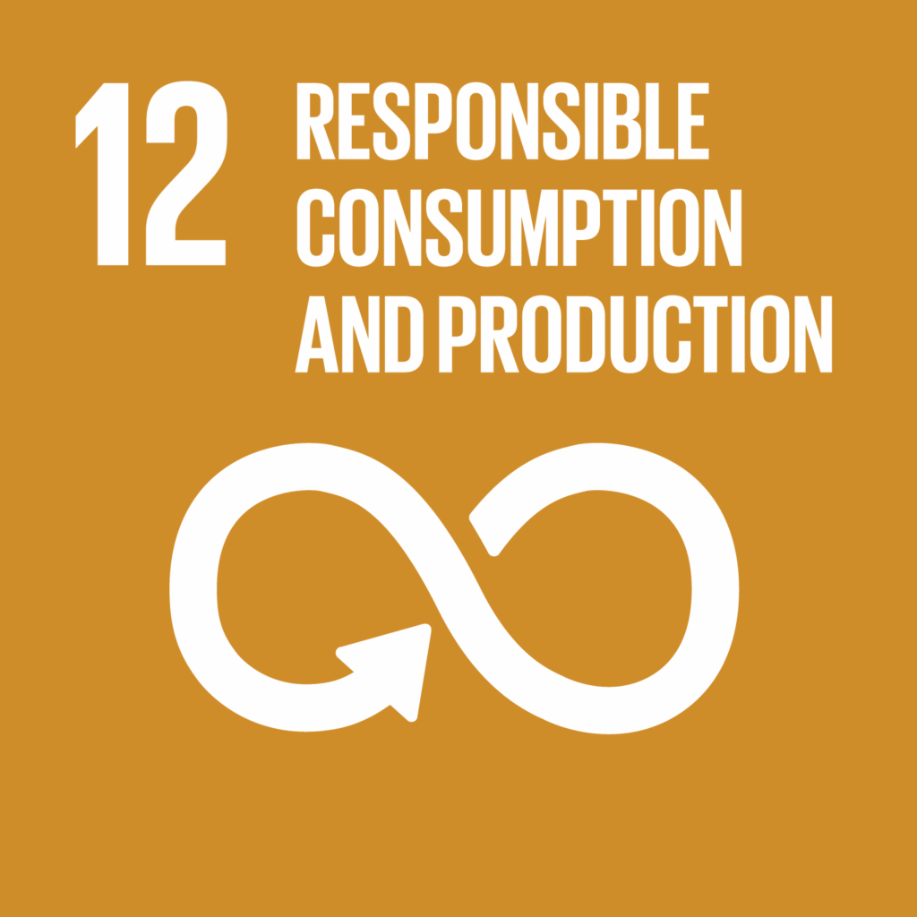 sustainability goal nr 12: respnsible consumption and production